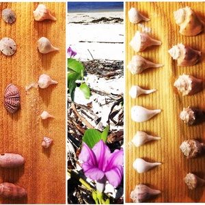 Meet your Posher, Kristie